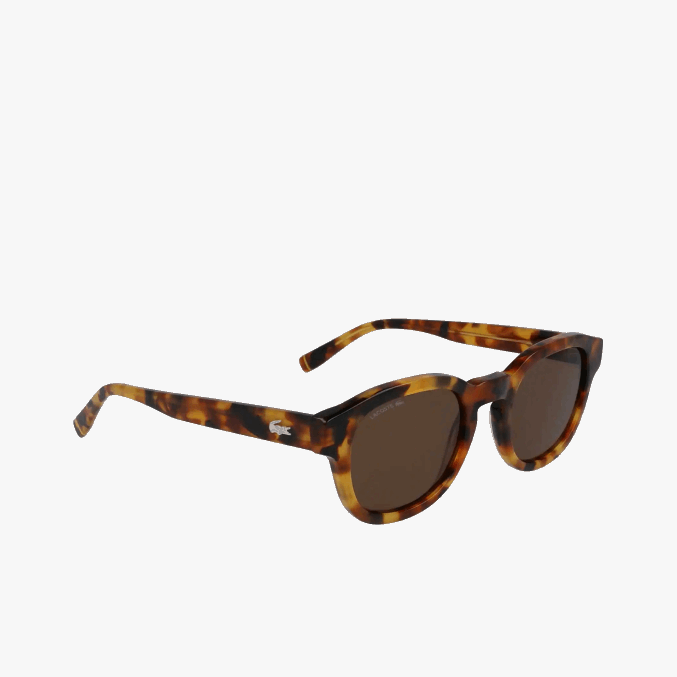 la habana brn 214 VVL0A2317 hombres Lacoste gafas de sol ovaladas de bioacetato de national Geographic
