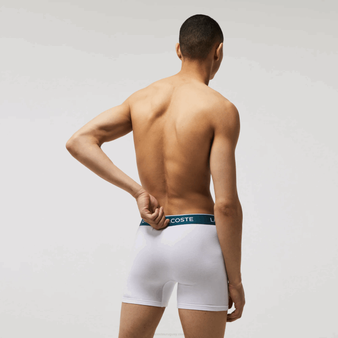 blanco 001 VVL0A1405 hombres Lacoste Pack de 3 calzoncillos bóxer largos de algodón elástico