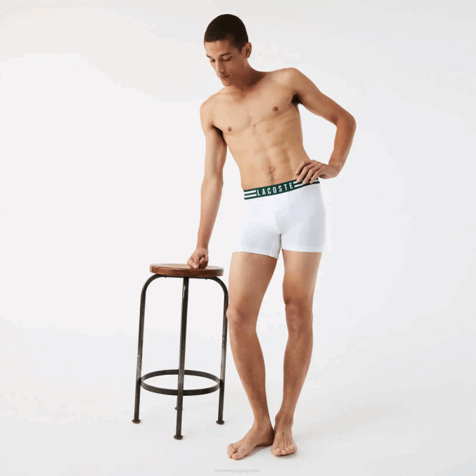 gris chino blanco azul marino tya VVL0A1434 hombres Lacoste Pack de 3 calzoncillos bóxer largos de algodón elástico con cintura a rayas