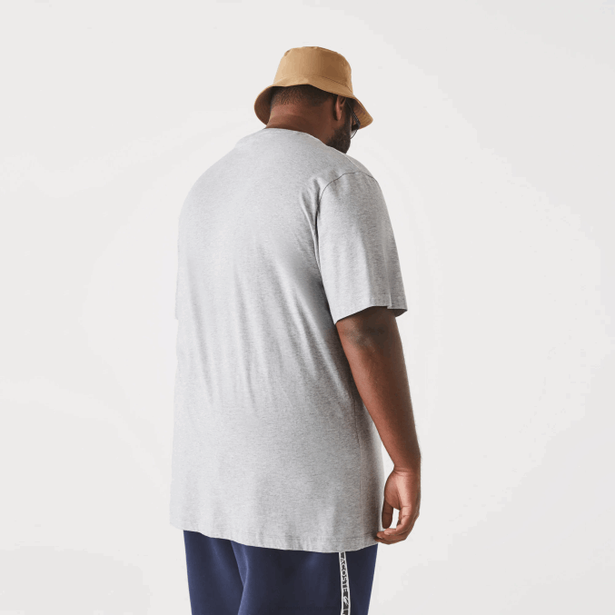 lomo gris cca VVL0A765 hombres Lacoste polo de algodón con cuello de pico de canalé regular fit (talla grande)