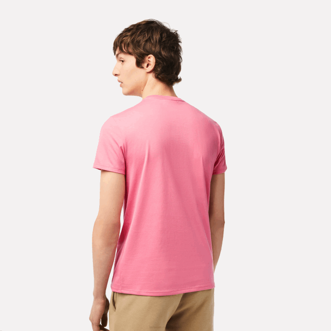 rosa 2r3 VVL0A54 hombres Lacoste camiseta de punto de algodón pima con cuello redondo
