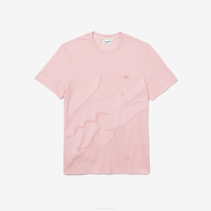 rosa VVL0A638 hombres Lacoste camiseta de algodón orgánico elástico con cuello redondo y estampado de cocodrilo