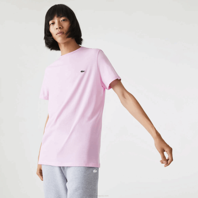 rosa z4h VVL0A824 hombres Lacoste camiseta de punto de algodón pima con cuello redondo