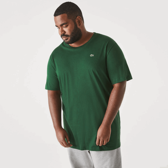verde 132 VVL0A684 hombres Lacoste camiseta xl regular fit de punto de algodón pima