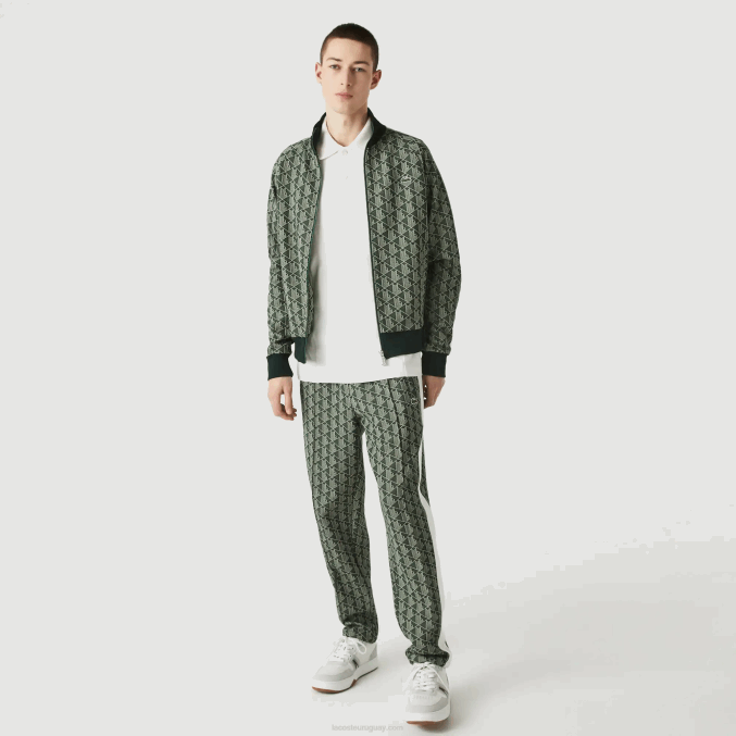 beige verde 7m4 VVL0A1187 hombres Lacoste pantalones de chándal en vivo con monograma en jacquard