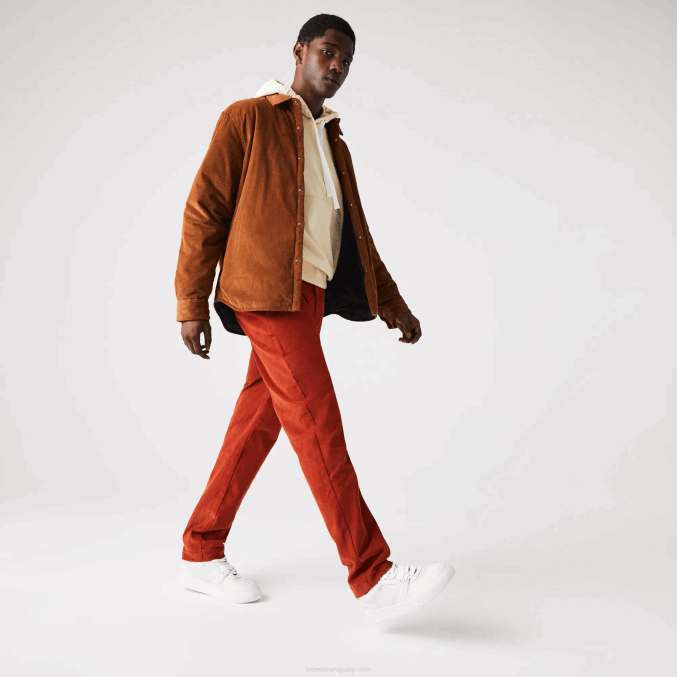 marrón ql2 VVL0A1643 hombres Lacoste pantalones rectos de pana