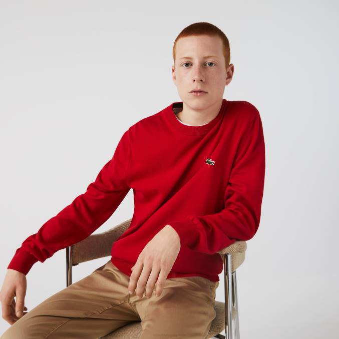 rojo 240 VVL0A1453 hombres Lacoste jersey de algodón orgánico con cuello redondo