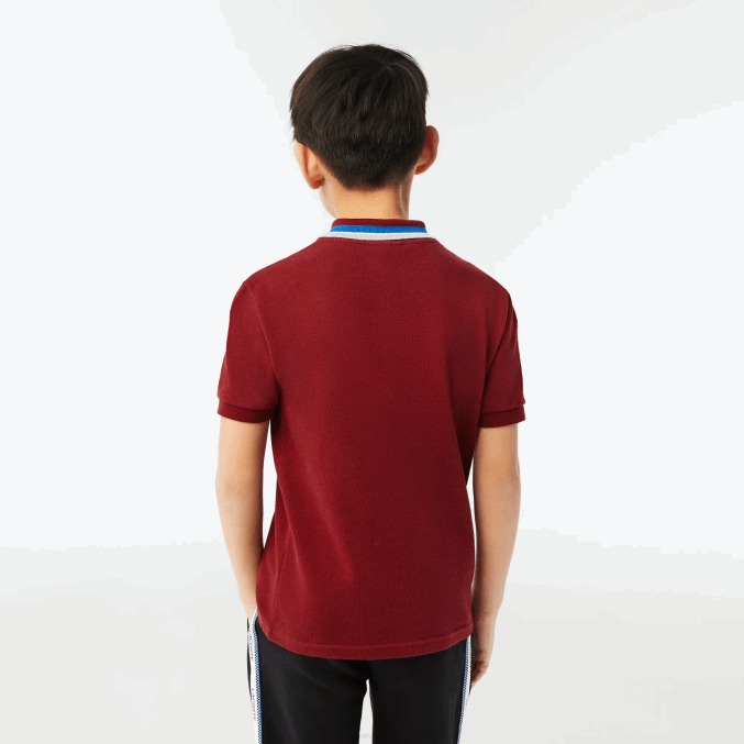 blanco burdeos x62 VVL0A2954 Niños Lacoste polo de petit piqué de algodón con cuello tricolor