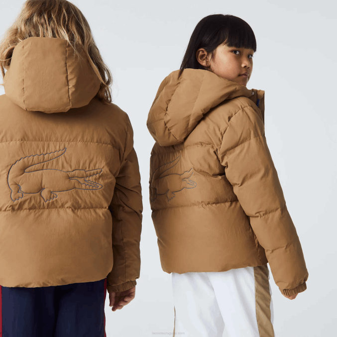 marrón azul 9fg VVL0A3222 niños Lacoste chamarra de tafetán con capucha y bordado de cocodrilo